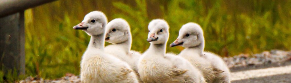 B3B09B60-406F-40AF-9D7C-1ADC4E042990