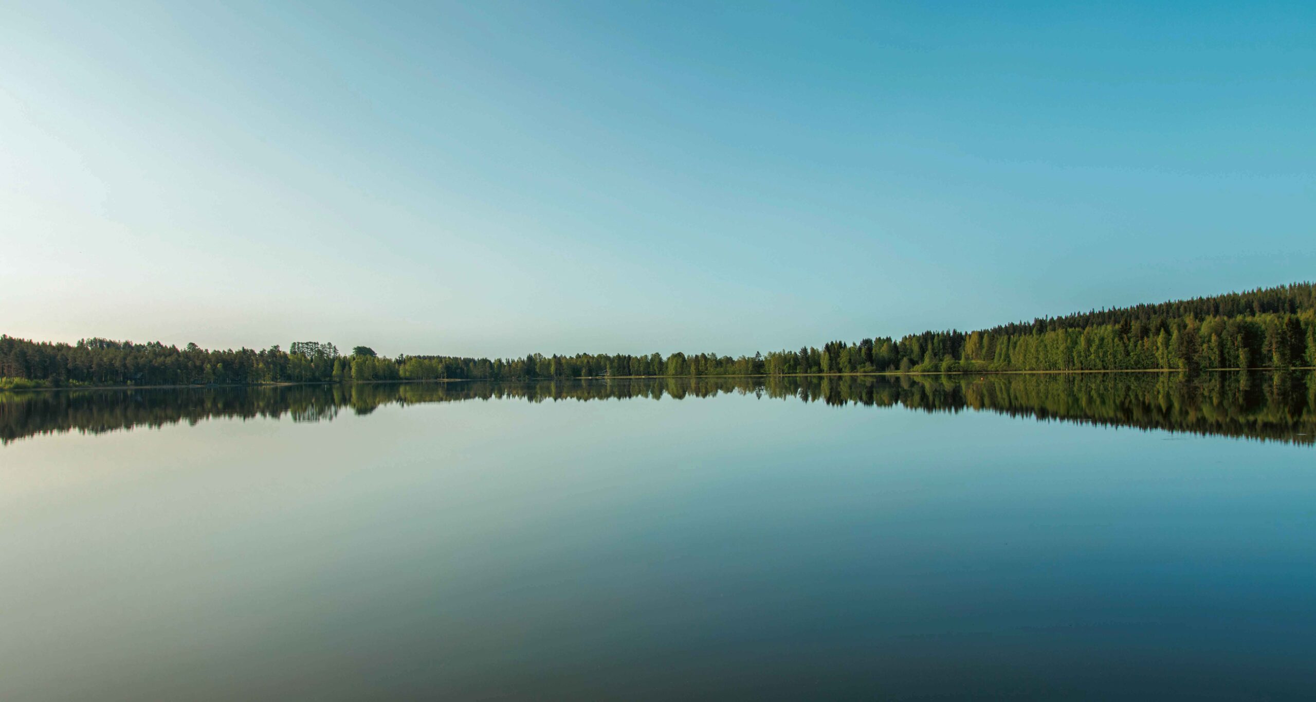 Tyyni järvimaisema, särkinen