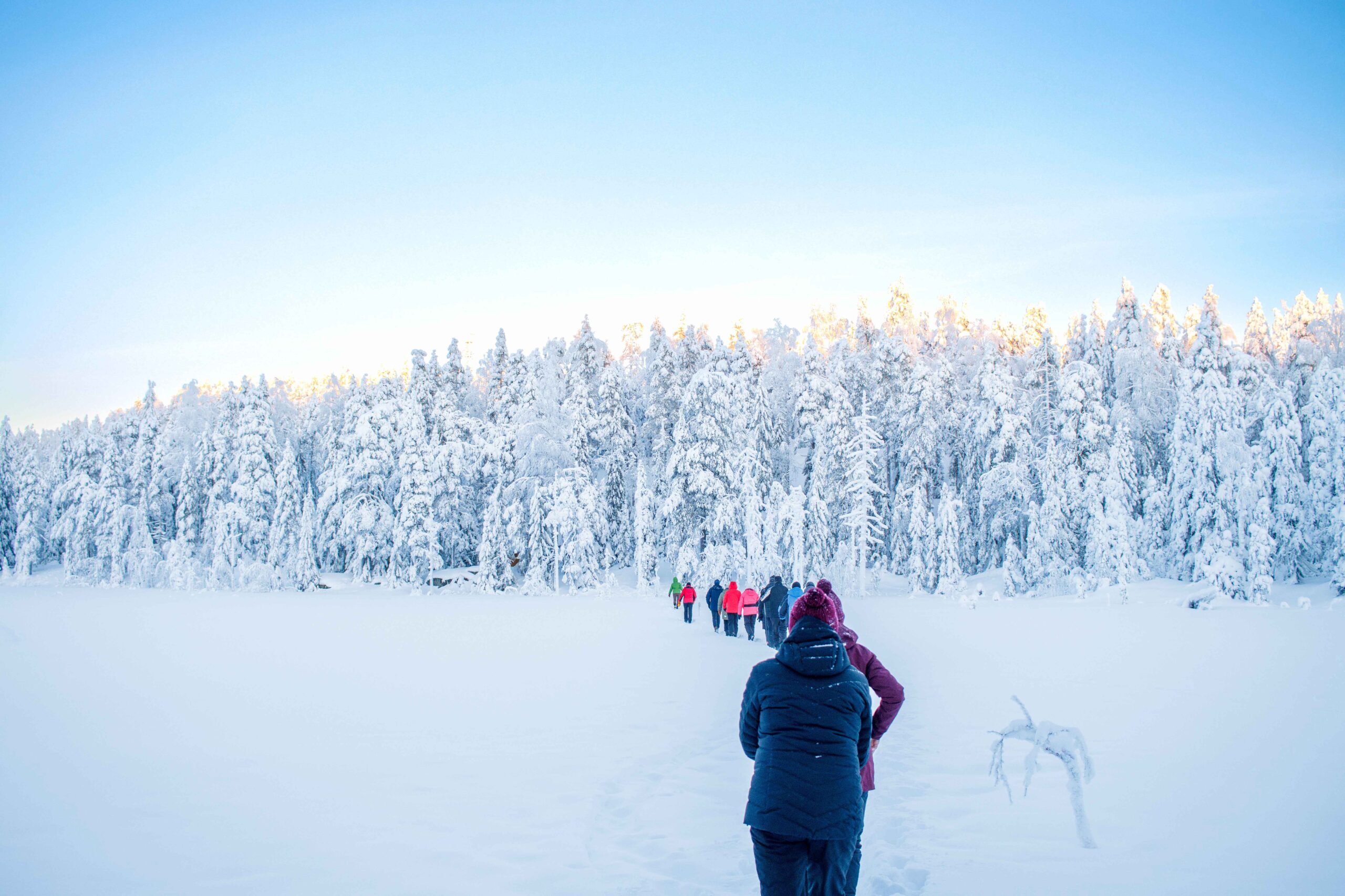 Talviretkeily ja tykkylumi